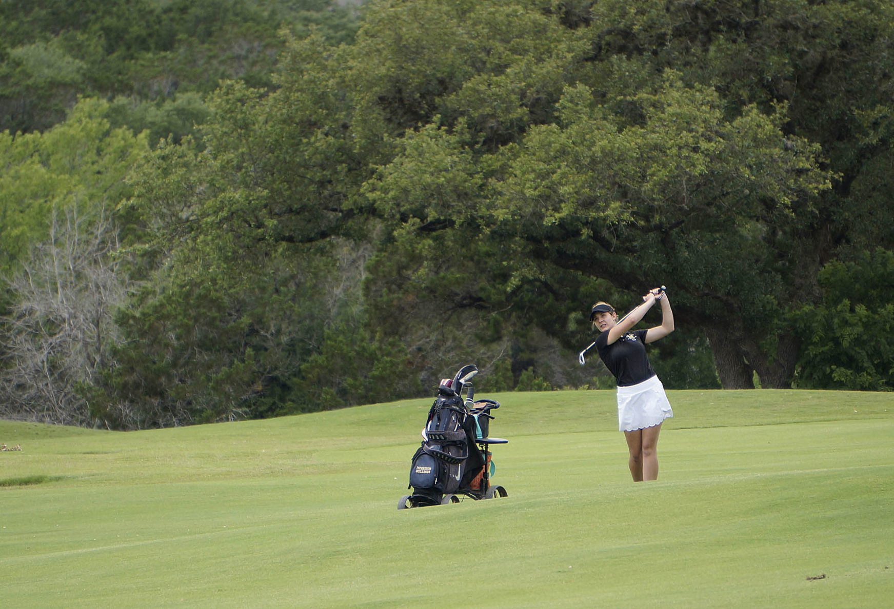 State golf